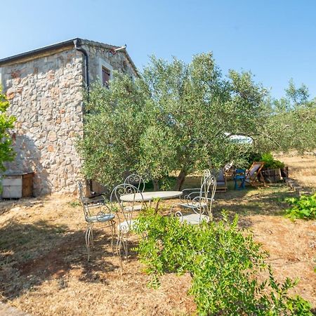 Villa Flaveico Pasman Exterior photo