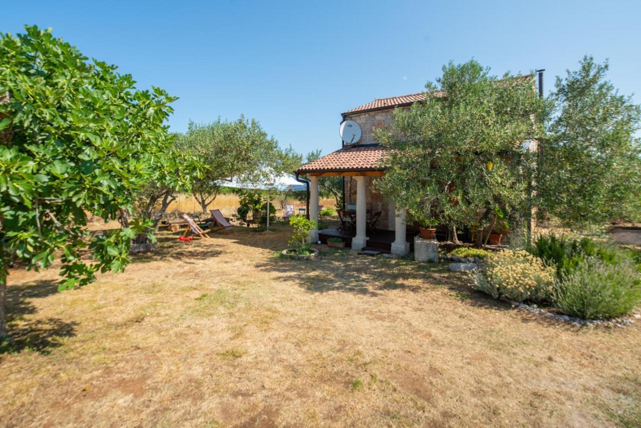 Villa Flaveico Pasman Exterior photo