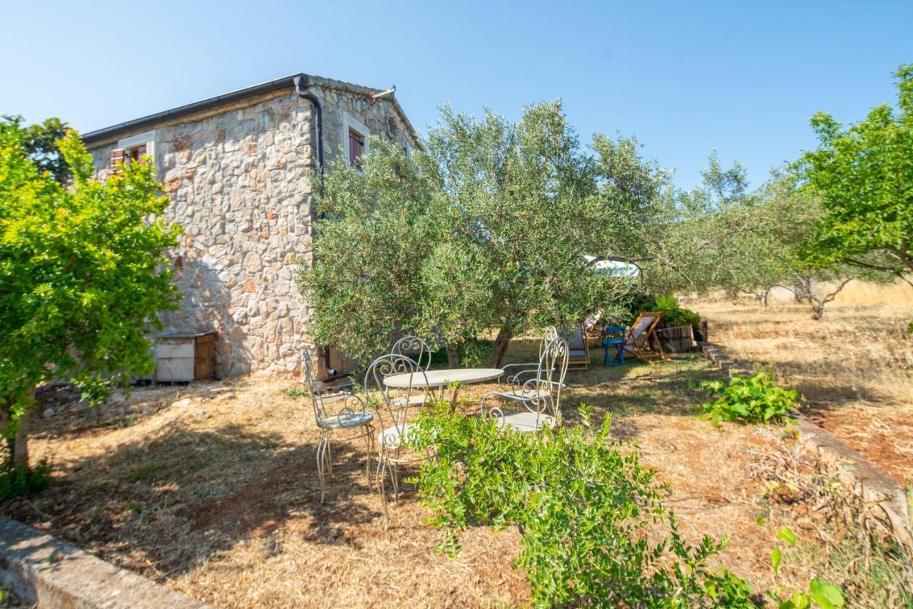 Villa Flaveico Pasman Exterior photo